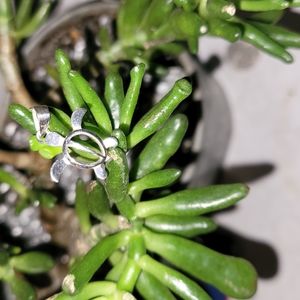 Hawaiian Turtle Tonu Silver Short Tail Pendant 925.